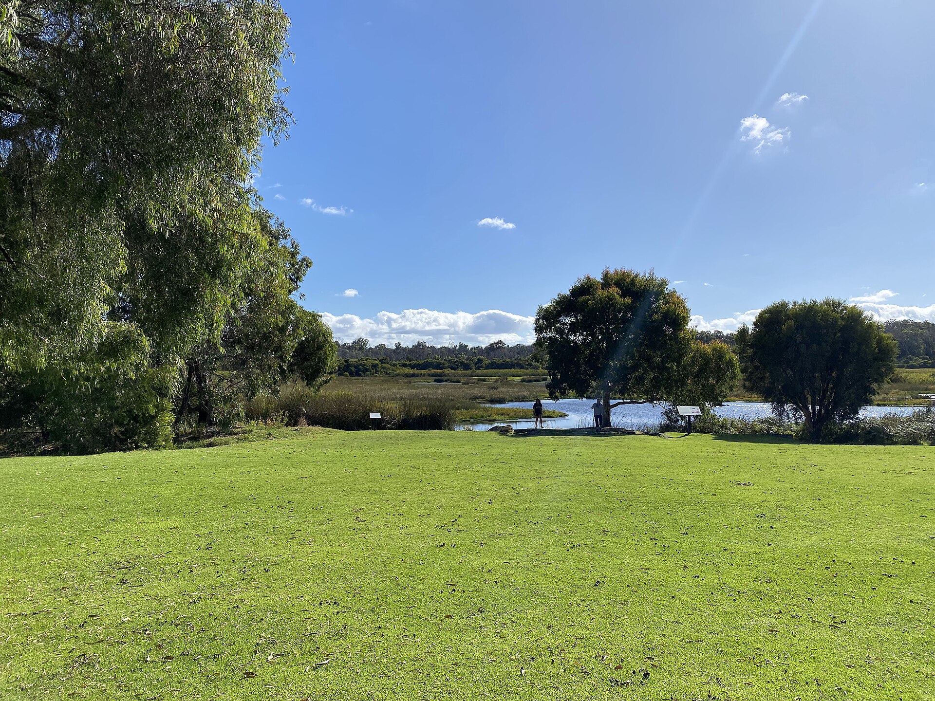 Loch McNess shoreline, yanget and paperbark wetland, Yanchep National Park